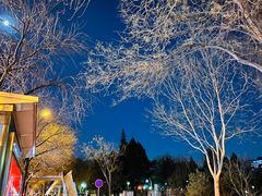 -元大都城垣遗址公园