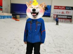 -绍兴启迪乔波冰雪世界