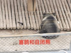 -青藏高原野生动物园