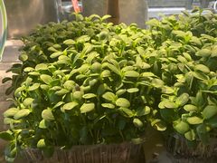 -初蓉丨遇见新川菜(亲贤街荣耀店)