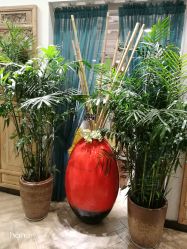 -渼树MSUTREE连锁沙龙