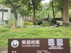 -都江堰中华大熊猫苑