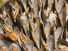 -广州增城保利郡雅酒店-月色西餐厅