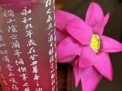 -护国法轮寺