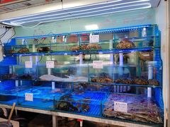 -来之顺海鲜菜馆·青岛菜·始于1993(栈桥店)