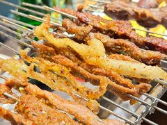 -邢氏老太太烤串(北兴街店)