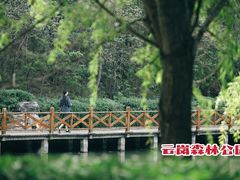 -云岗森林公园