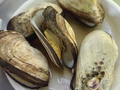 -有间冰室(侨港风情街店)