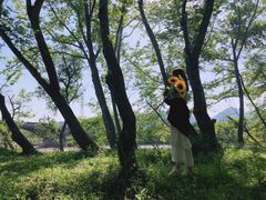 -楠溪江风景名胜区