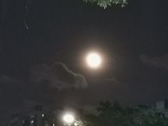 -大碗厨 25年老字号 现炒湘菜(四季天地店)