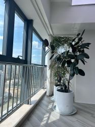 -HEYAN荷妍专业脱毛连锁机构