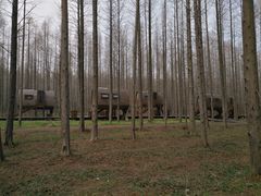 -黄海国家森林公园