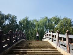 -大兴滨河森林公园