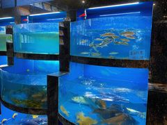 水产区-桐庐土菜馆·传承经典土菜