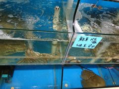 水产区-鑫悦楼煎蟹·16年海鲜大排档