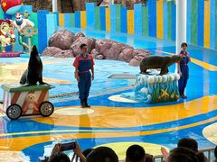 -海合安成都极地海洋公园