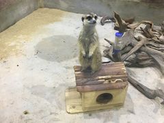 -顺德南宏海立方海洋公园