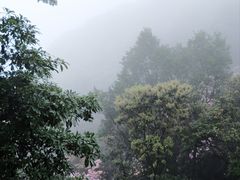 -梧桐山风景名胜区