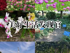 -石家庄市植物园