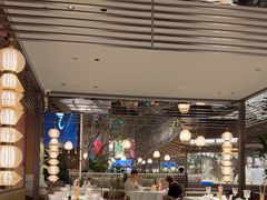 -桂满陇·海市蜃楼·黑金(国金店)