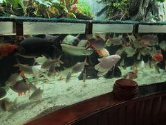 -太平洋海底世界