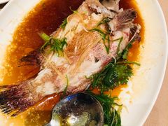 斑鱼-陶陶居海鲜酒家(新马路店)