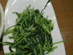 -菩提树·素食餐厅(汇智国际商业中心店)