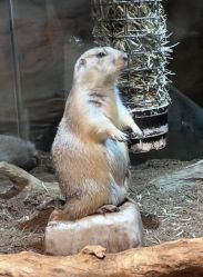 -Zoolung Zoolung动物主题公园(海信广场店)