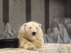 -大连圣亚海洋世界