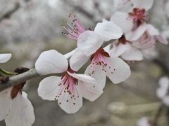 -北坞公园