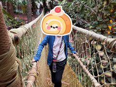 -正佳雨林生态植物园