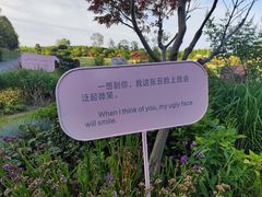 -东平国家森林公园