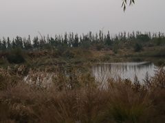 -包头南海湿地景区