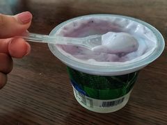 纯净0蔗糖&nbsp;蓝莓接骨木-乐纯(苹果社区店)