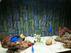 -北戴河圣蓝海洋公园