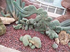 -南通洲际绿博园