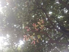 -保利石象湖景区