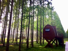 -黄海国家森林公园