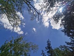 -敦煌莫高窟