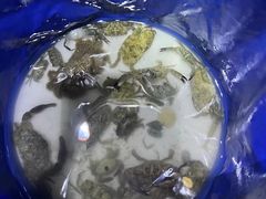 -小猫钓鱼海钓俱乐部(椰梦长廊店)