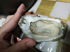 -威海九禧海鲜居渔水饺(经区店)