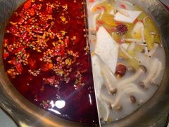 -九鼎轩脆毛肚火锅(三钢里店)