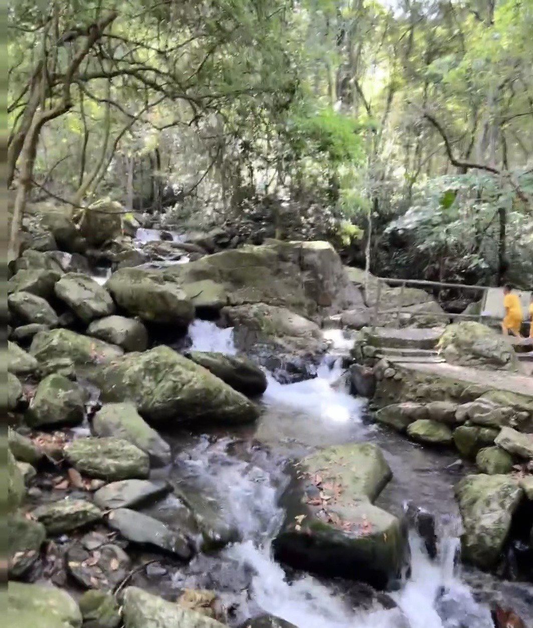 当城市的喧嚣逐渐让人疲惫,不妨来一场河源周边游,桂山风景区绝对是