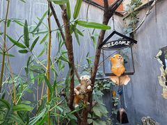 -后海16号·北京私房菜