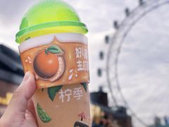 -柠季·手打柠檬茶(静安大悦城北座B1店 )