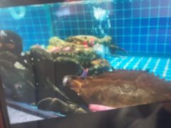 -海立阁海鲜江浙菜(漕河泾印象城店)