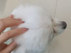 -怪兽屋·羊驼·猫咖·狗咖(俊华广场店)