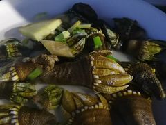 -胖大嫂渔家排档·全海景餐厅(渔村店)