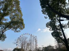 -上海野生动物园