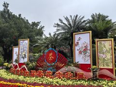 -金花茶公园